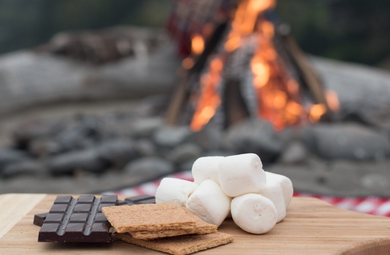 ssdh-s'mores2