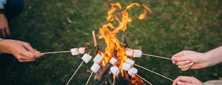 ssdh-s'mores3