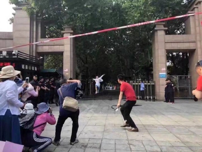 Mọi người đều nhanh tay lấy điện thoại, máy ảnh ra ghi lại để không bỏ lỡ khoảnh khắc thú vị