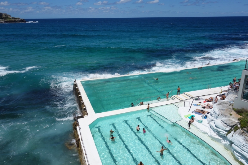 ssdh-bondi-icebergs-pool