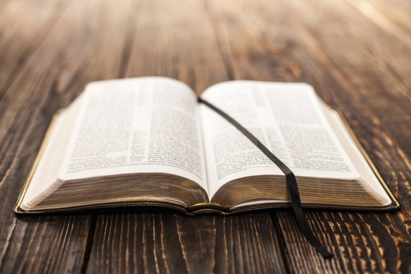 ssdh-book-sach-sinh-vien