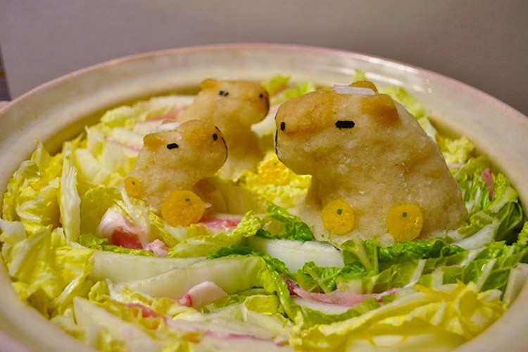 ssdh-cu-cai-bao4
