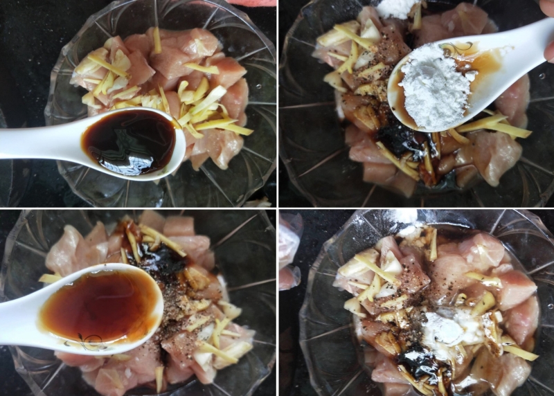 ssdh-ga-chien-gion1