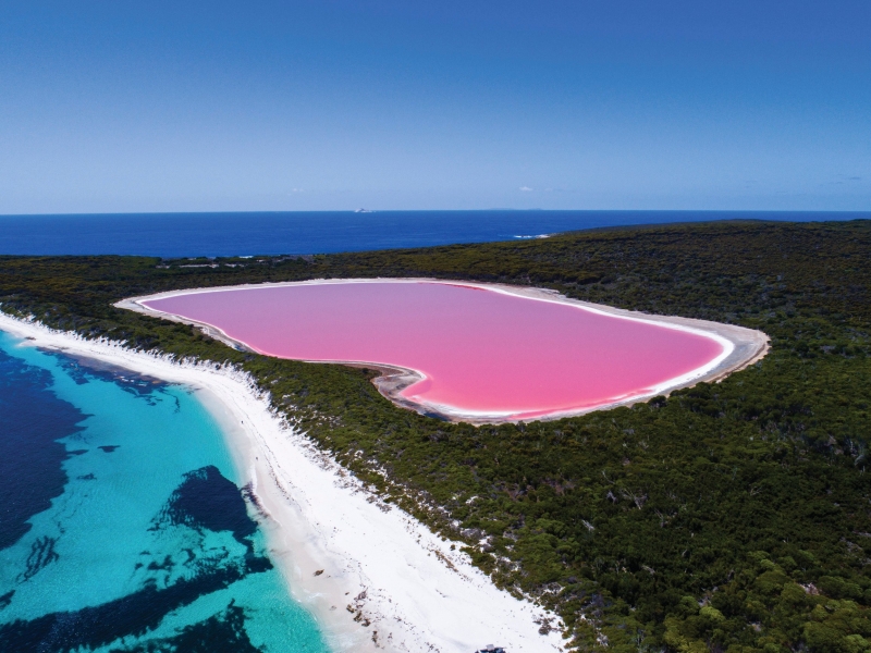 ssdh-hillier-lake-australia