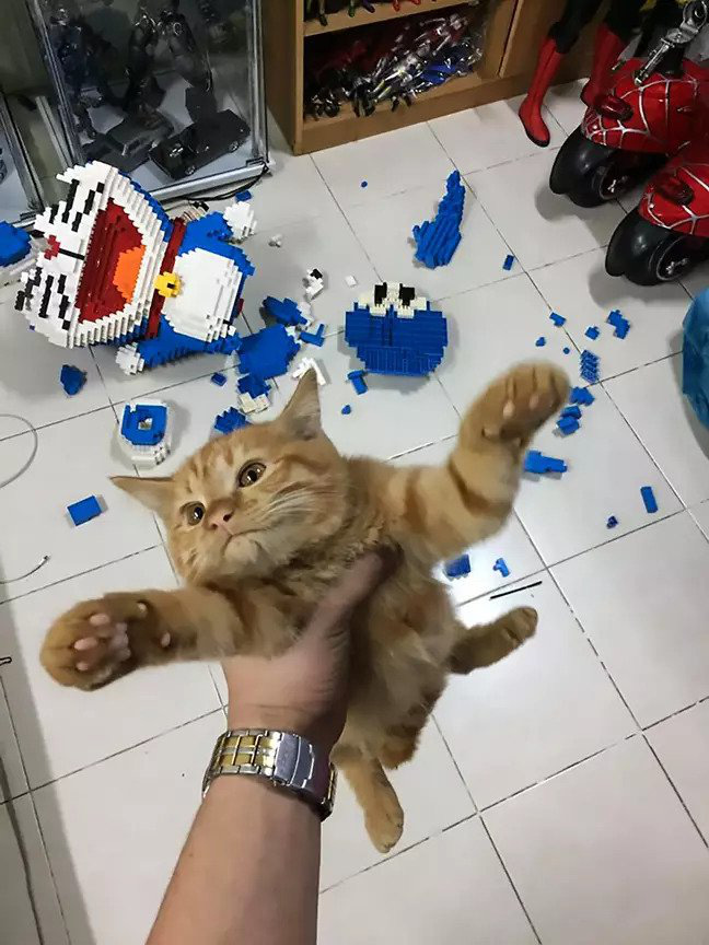 Ghét thì ghét nhưng vẫn thương nhau lắm.