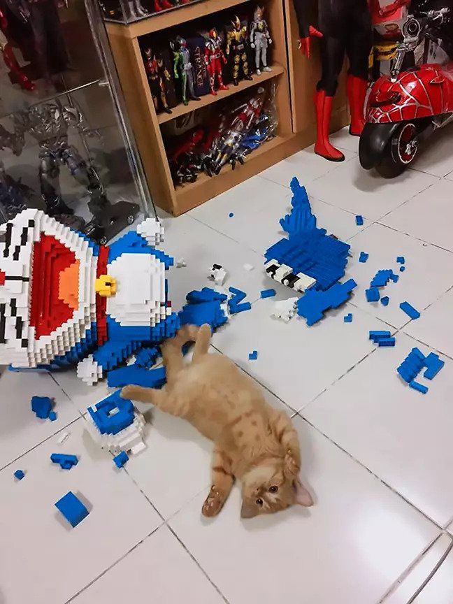 Dám yêu mèo máy hơn ta này!