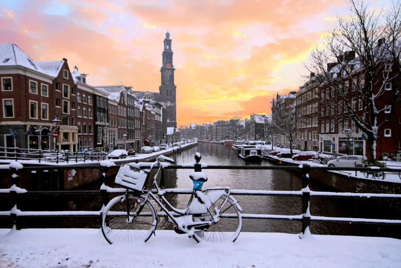 ssdh-amsterdam