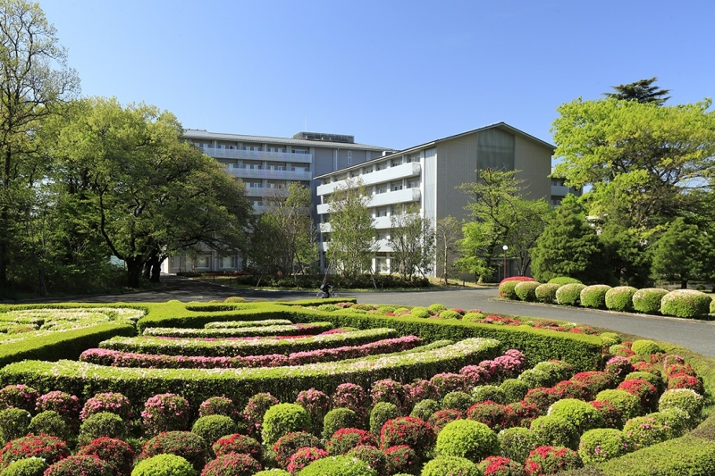 ssdh-international-christian-university