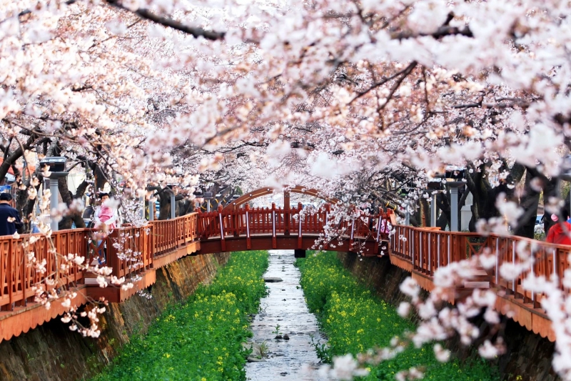 ssdh-jinhae-gunhangje