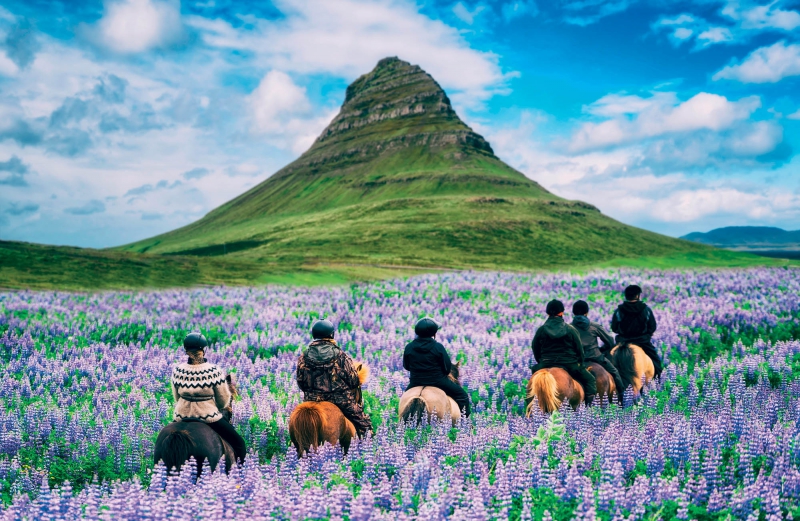 ssdh-kirkjufell-iceland