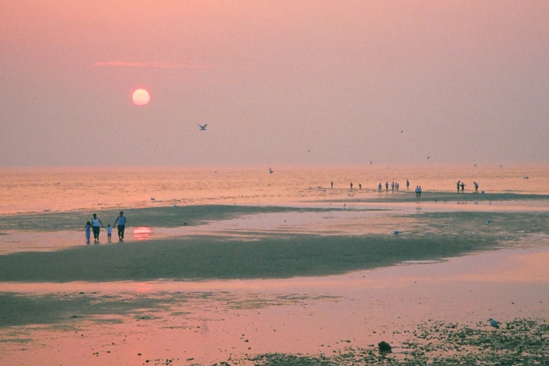 ssdh-meadow-beach