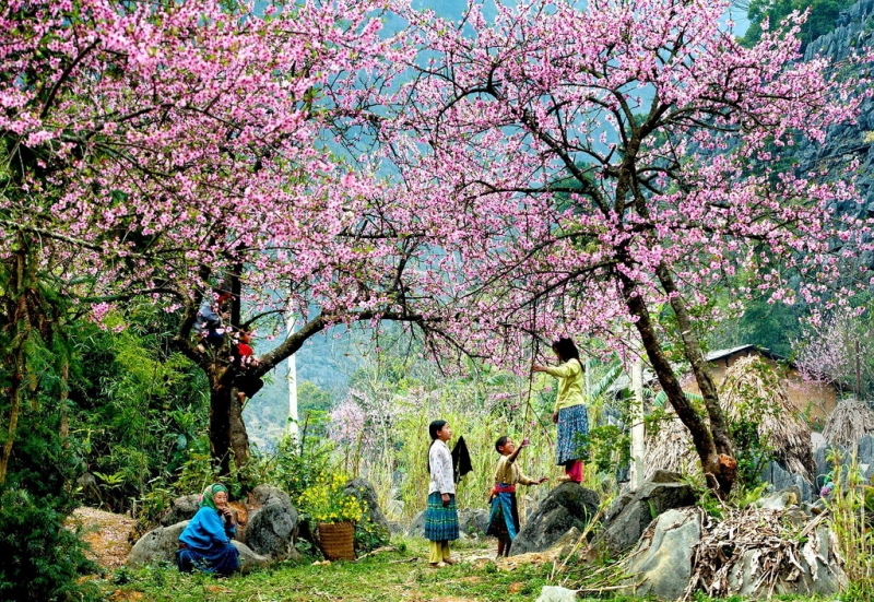 ssdh-moc-chau