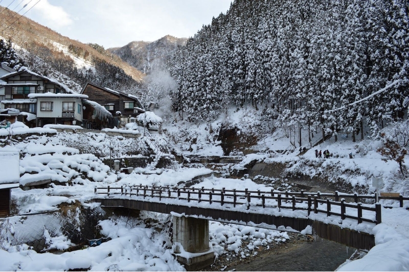 ssdh-nagano-japan