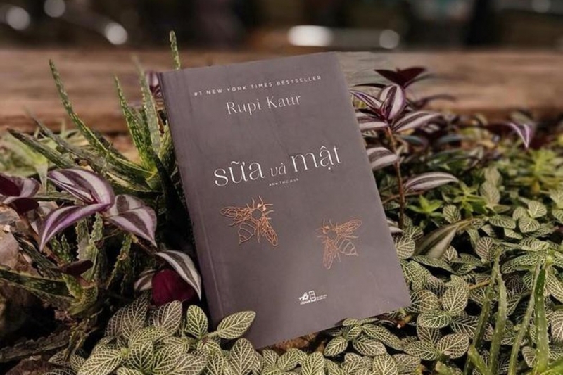 ssdh-sua-va-mat