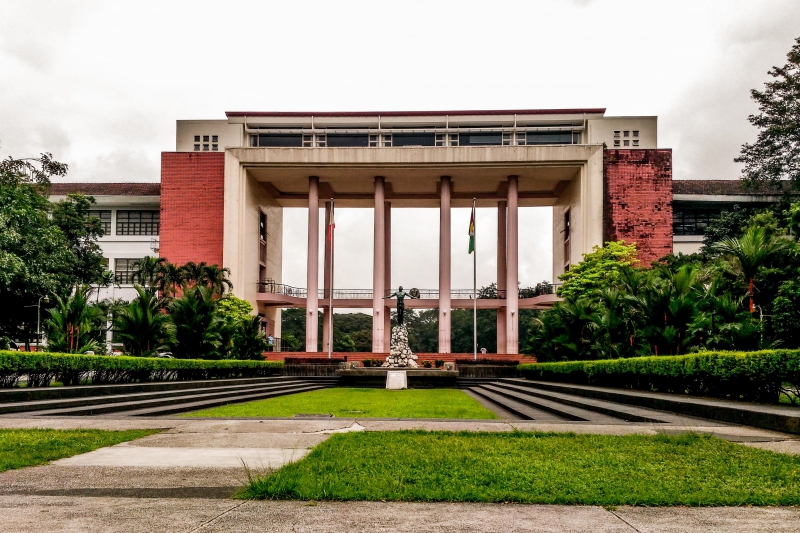 ssdh-university-of-the-philippines