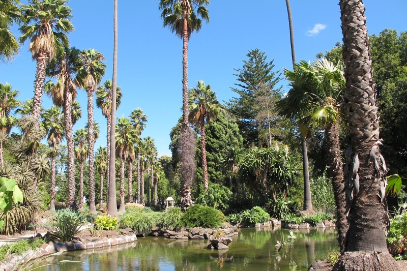 ssdh-williamstown-botanic-gardens