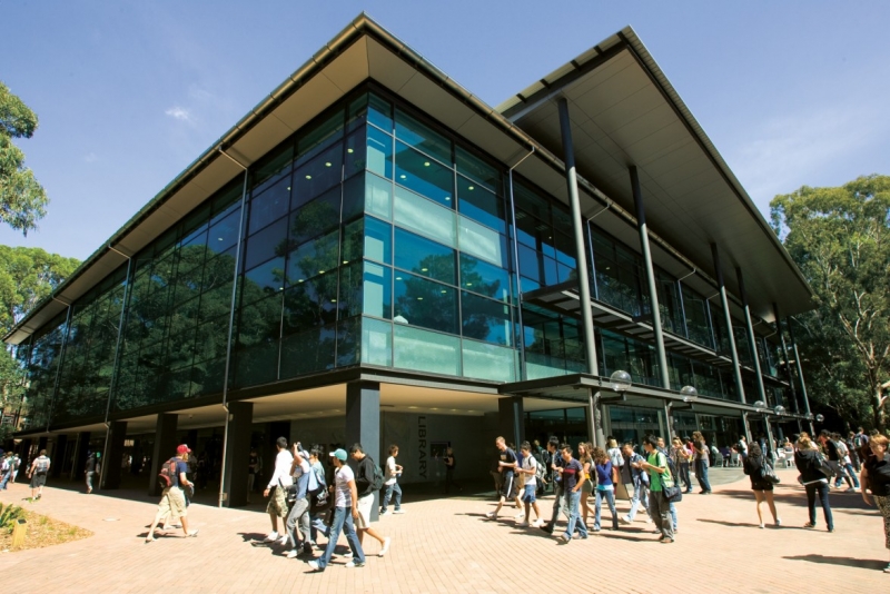 ssdh-wollongong-university