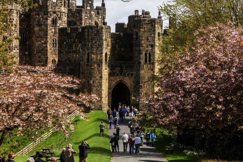 ssdh-alnwick