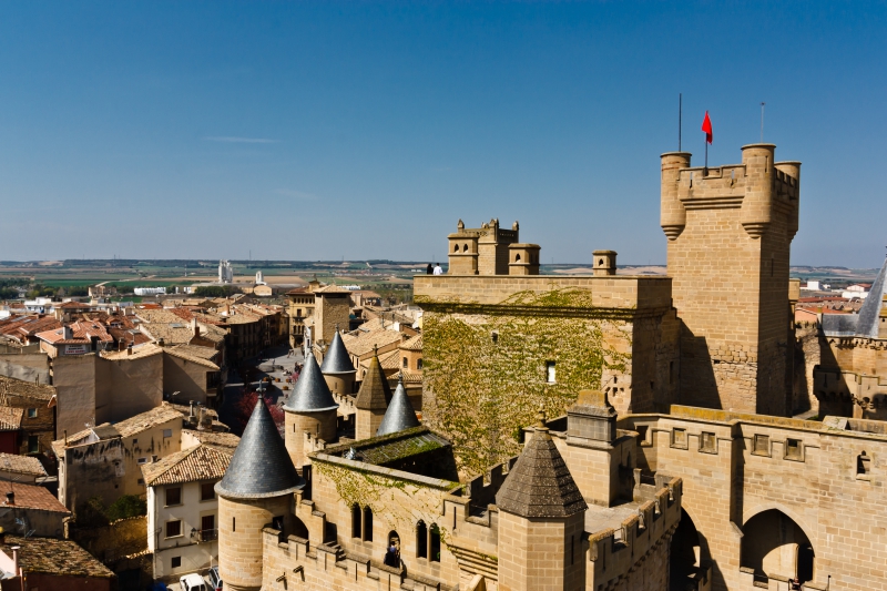 Castle of Olite /Castillo de Olite