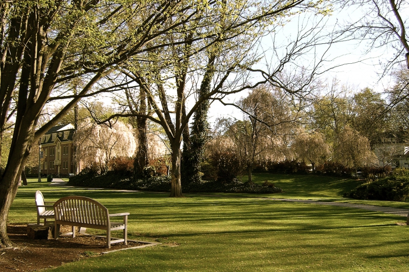 ssdh-whitman-college