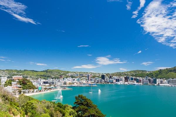 Wellington bay and harbour