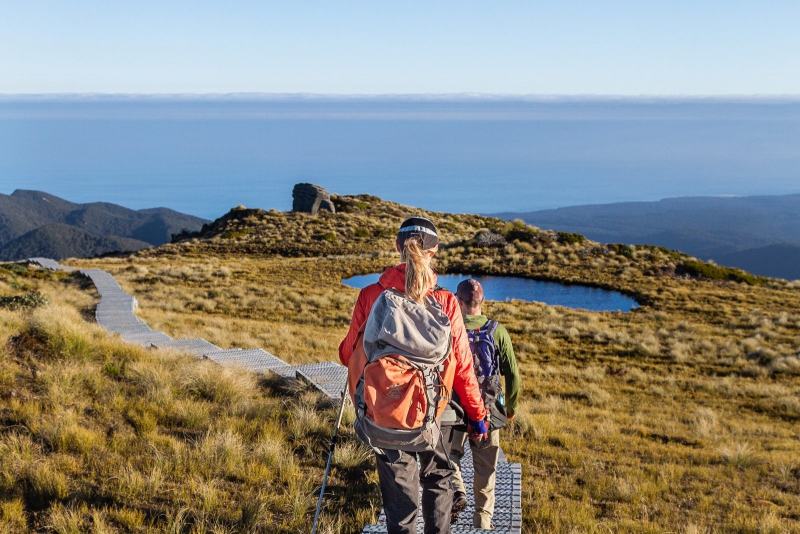 ssdh-hump-ridge-new-zealand