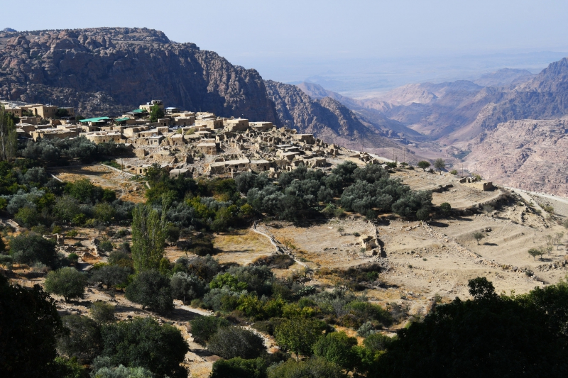 ssdh-jordan