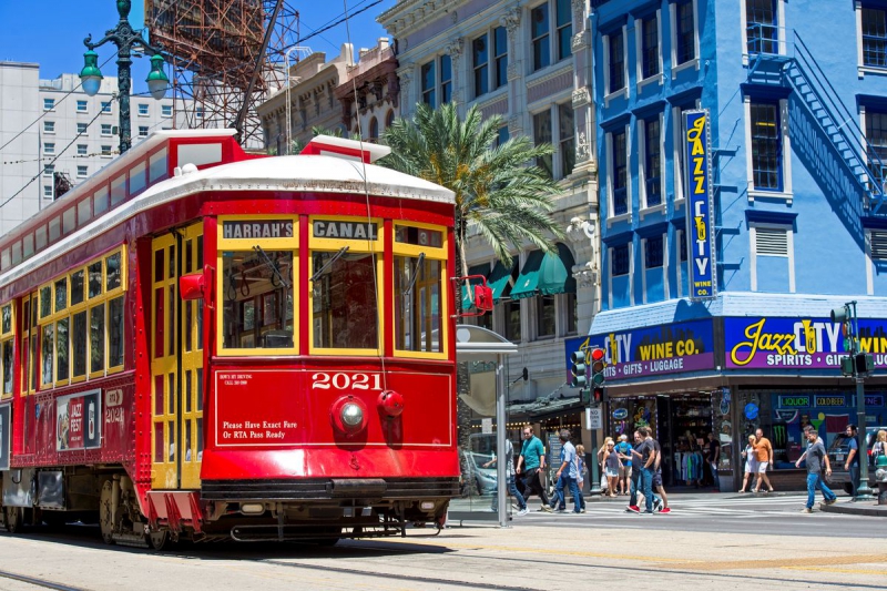 ssdh-new-orleans