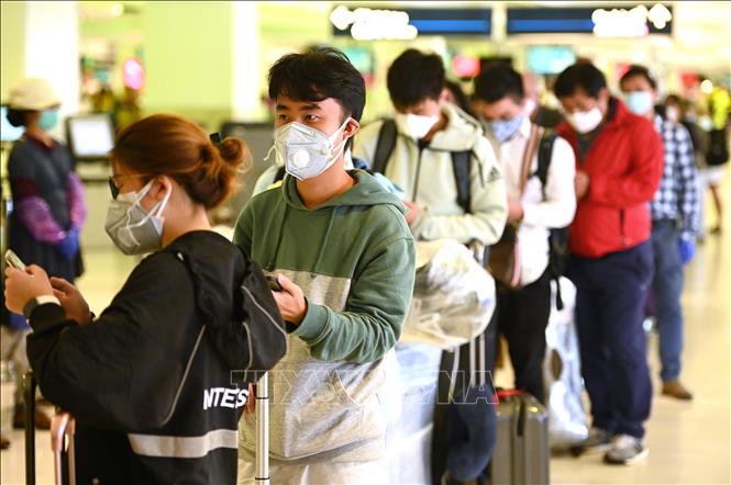 Đeo khẩu trang phòng lây nhiễm COVID-19 tại sân bay quốc tế ở Sydney, Australia. Ảnh minh họa: AFP/TTXVN