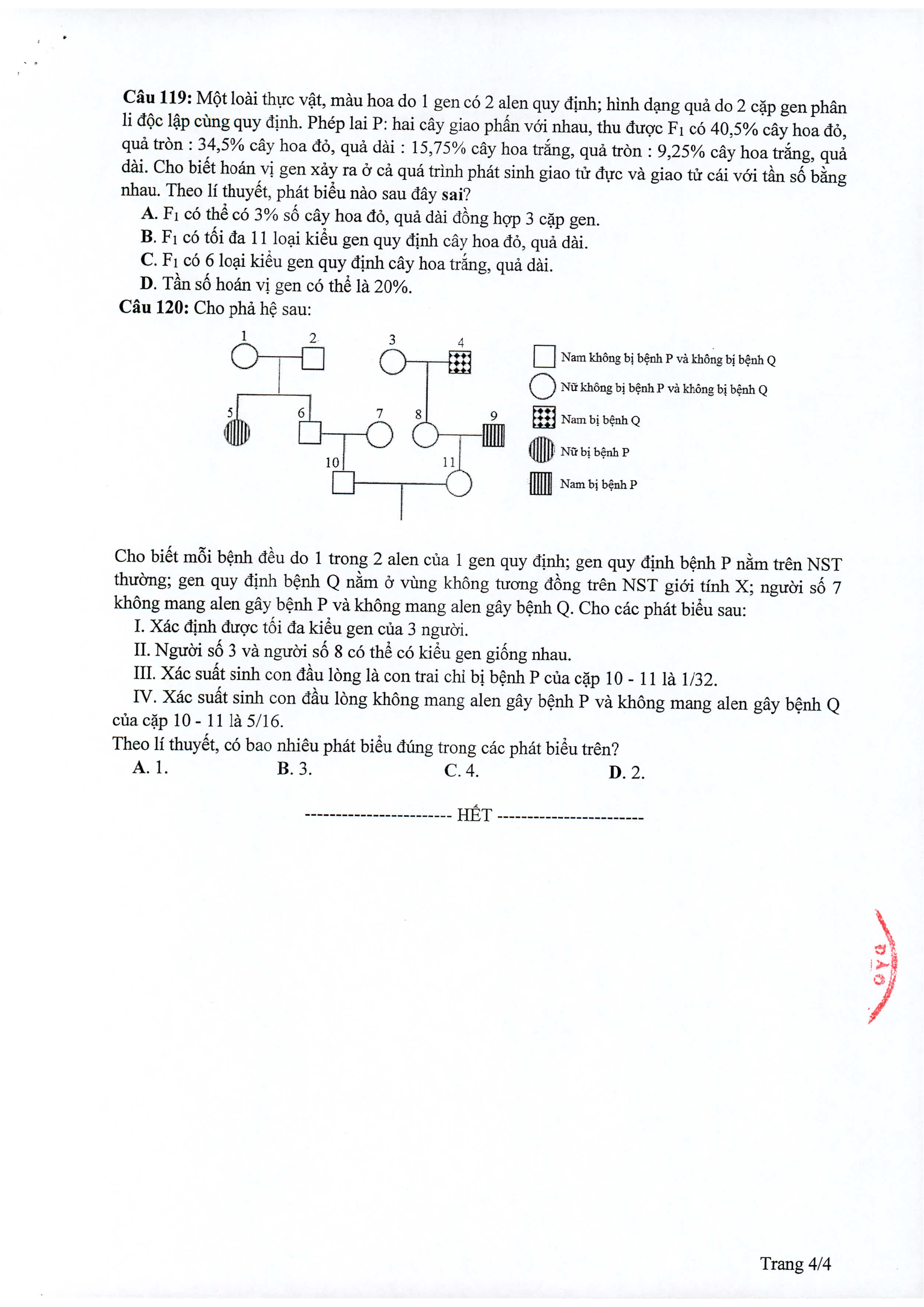 sinh 4-01