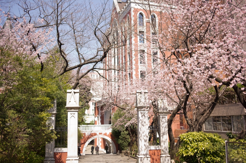 ssdh-keio-university1