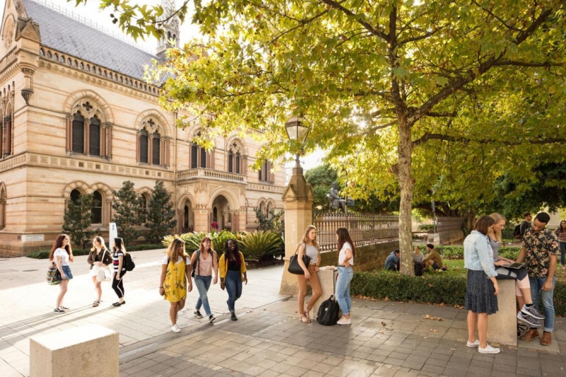 ssdh-university-of-adelaide-sinh-vien