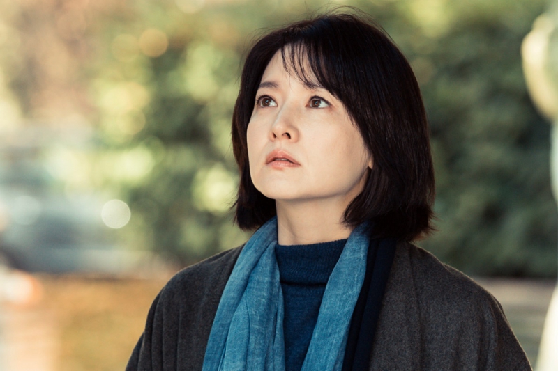 ssdh-lee-young-ae