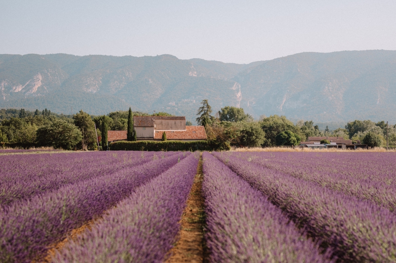 ssdh-provence-france
