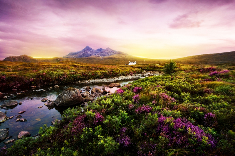 ssdh-scotland