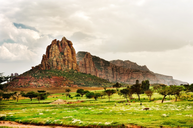 ssdh-tigray