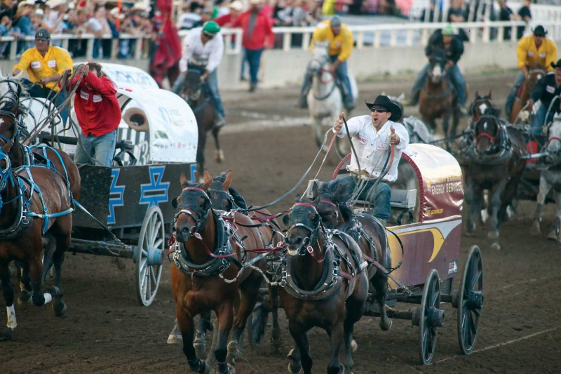 ssdh-calgary-stampede