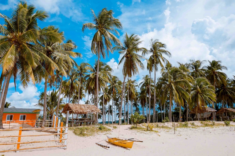 ssdh-el-nido