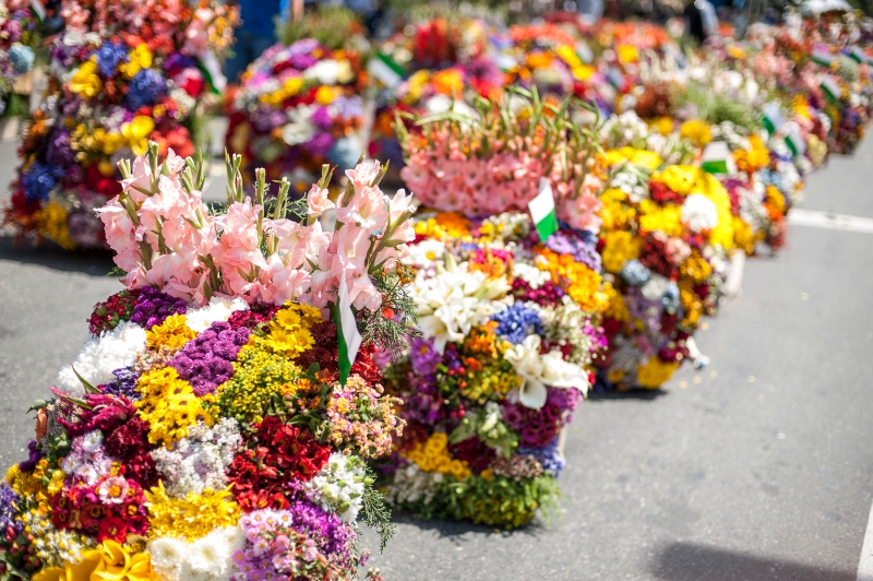 ssdh-feria-las-flores