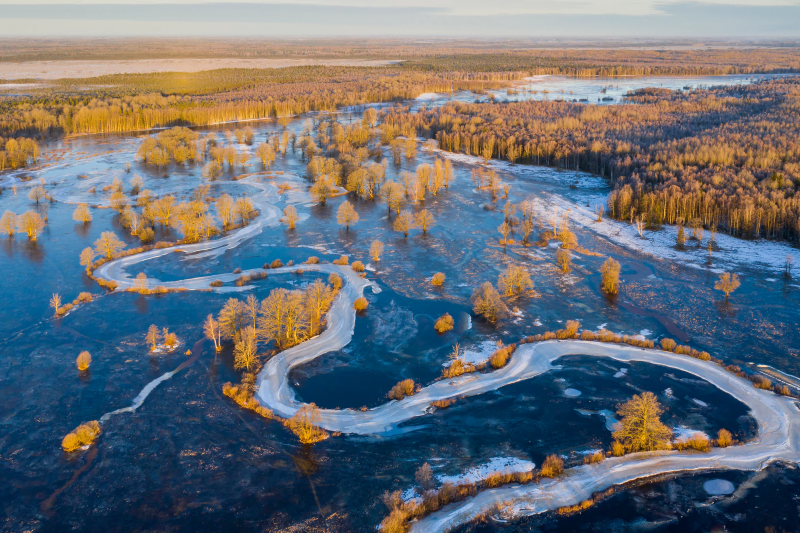 ssdh-soomaa-national-park