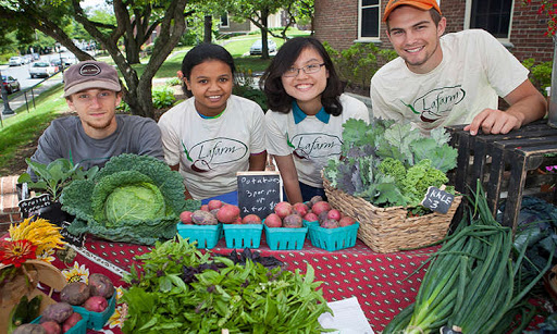 quyen loi lam viec tai uc cho du hoc sinh
