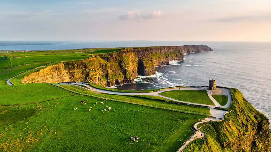 du-hoc-ireland-nganh-nao-hot