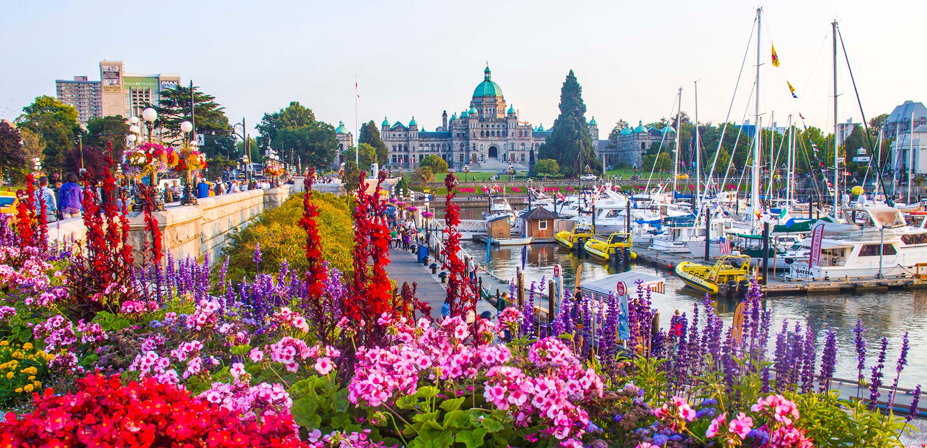 victoria_inner_harbour_flowers