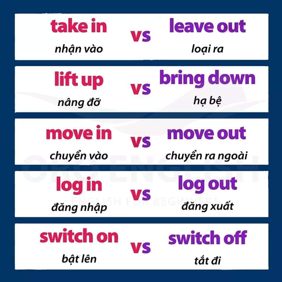 142046022_3731962036918371_6545159487989877401_n