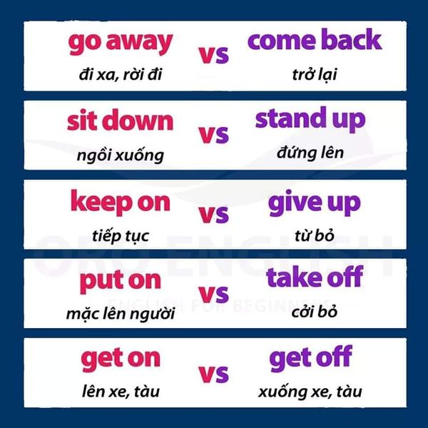 142101004_3731961690251739_3087431100987227434_n