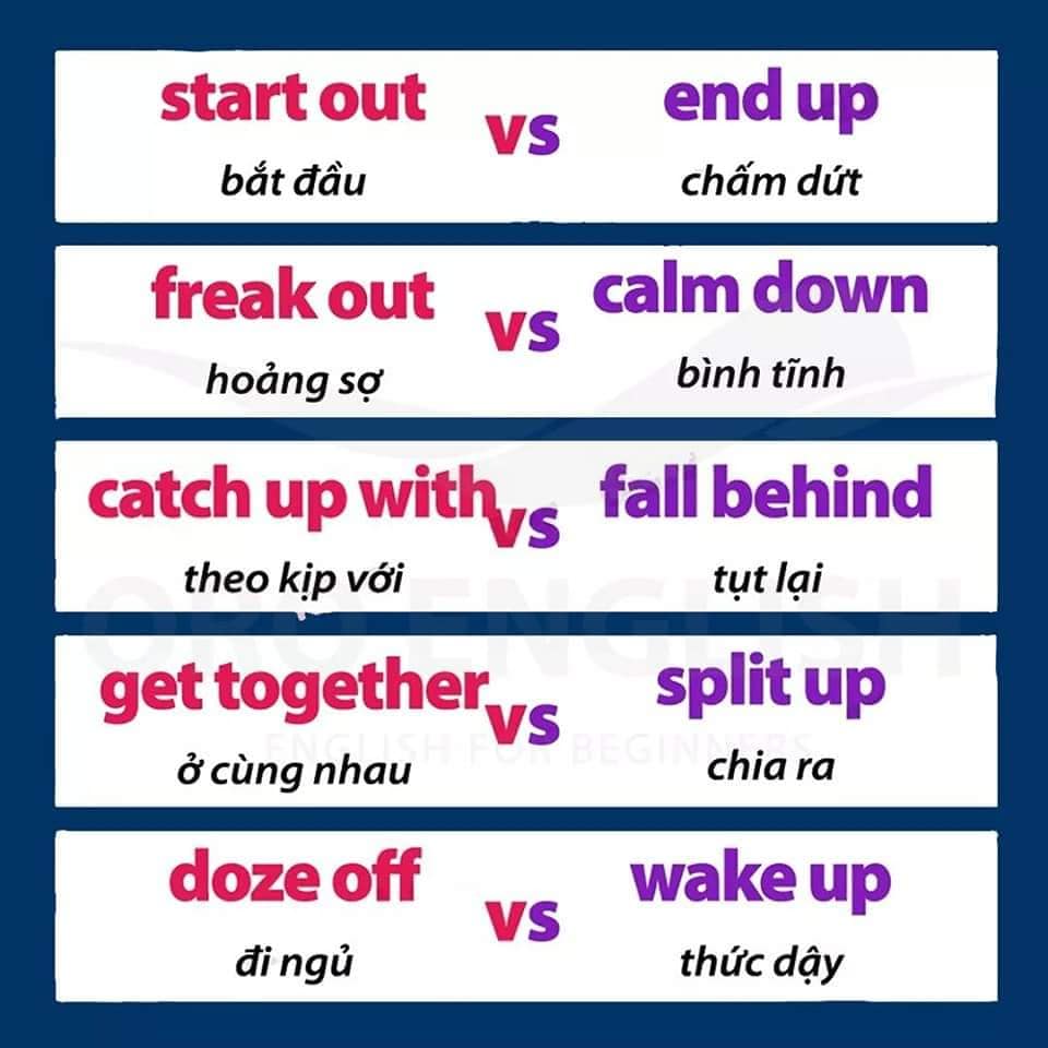 142736581_3731961883585053_7127416284041622197_n