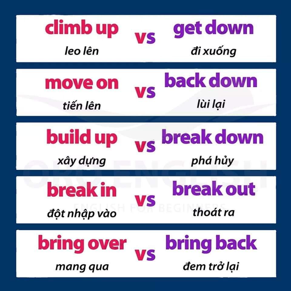 143618392_3731961740251734_6333907298492641042_n