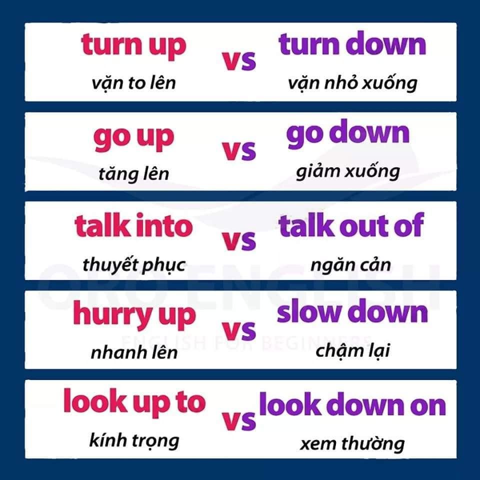 144141845_3731961963585045_5520970955071323410_n