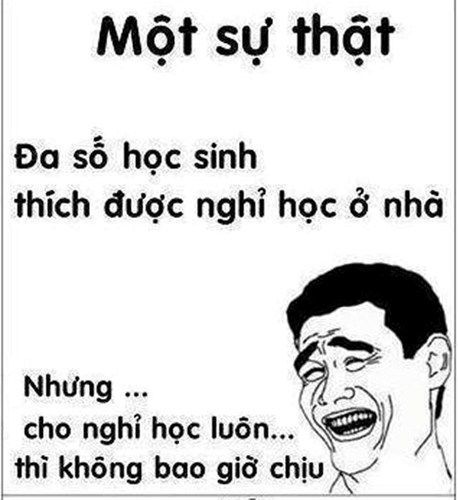 anh che bat hu hoc sinh 2