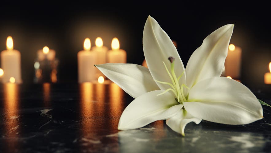 FUNERAL SERVICE MANAGEMENT